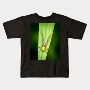 A lynx spider laying in wait Kids T-Shirt